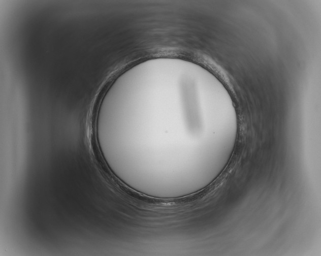 X0000102540059200808081058