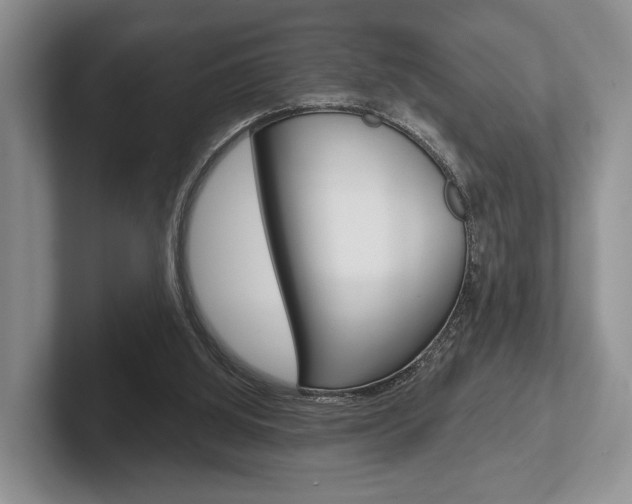 X0000102540060200808081058
