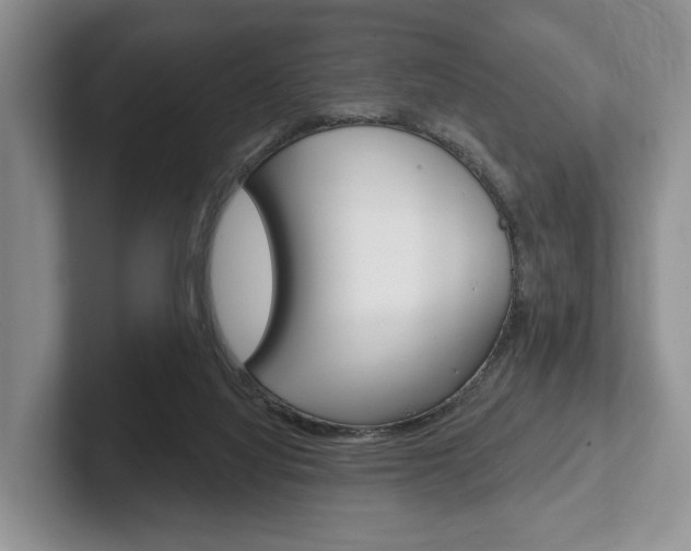 X0000102540068200808081058