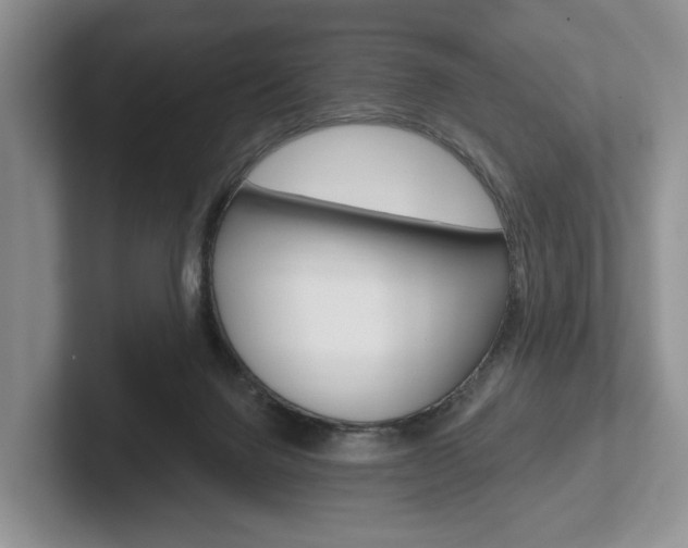 X0000102540072200808081058