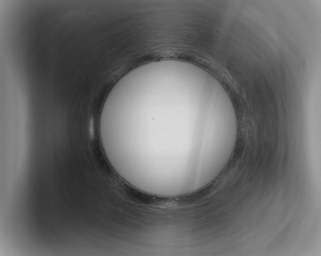 X0000102540075200808081058