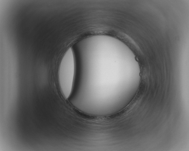 X0000102540076200808081058