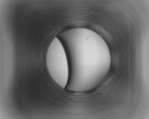 X0000102540077200808081058