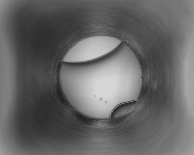 X0000102540078200808081058