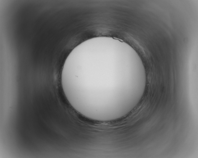 X0000102540079200808081058