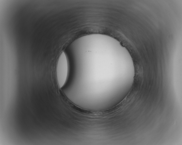 X0000102540080200808081058
