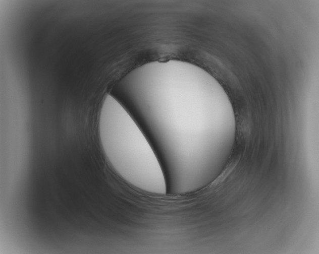 X0000102540082200808081058