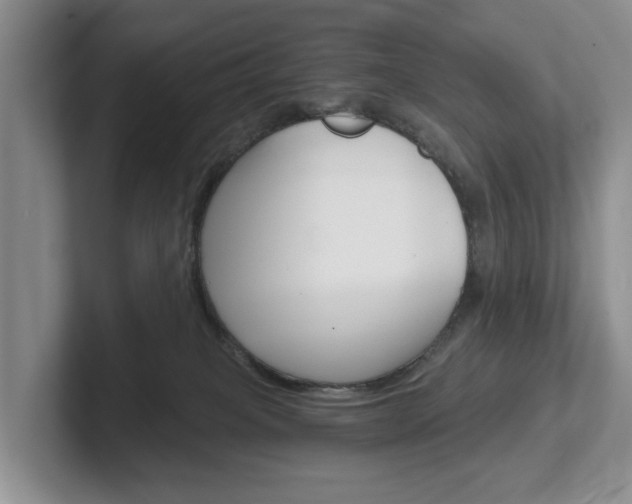 X0000102540085200808081058