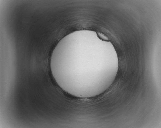 X0000102540087200808081058