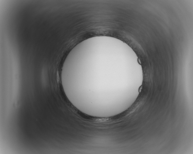 X0000102540089200808081058