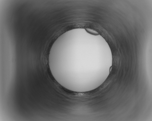 X0000102540091200808081058