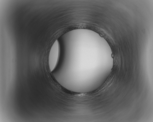 X0000102540092200808081059