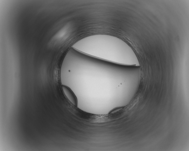 X0000102540093200808081059