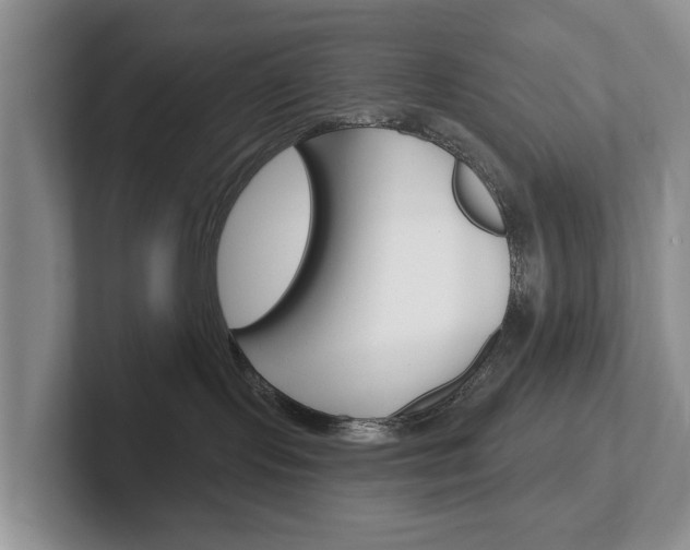 X0000102540095200808081059