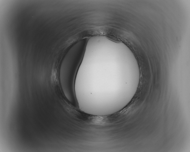 X0000102540096200808081059
