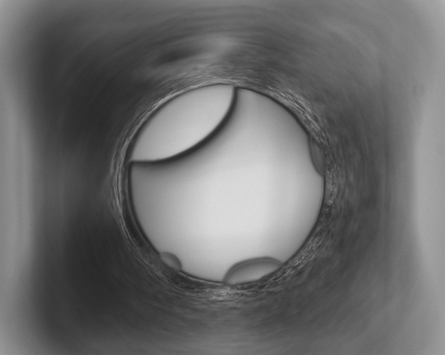 X0000102540098200808081058