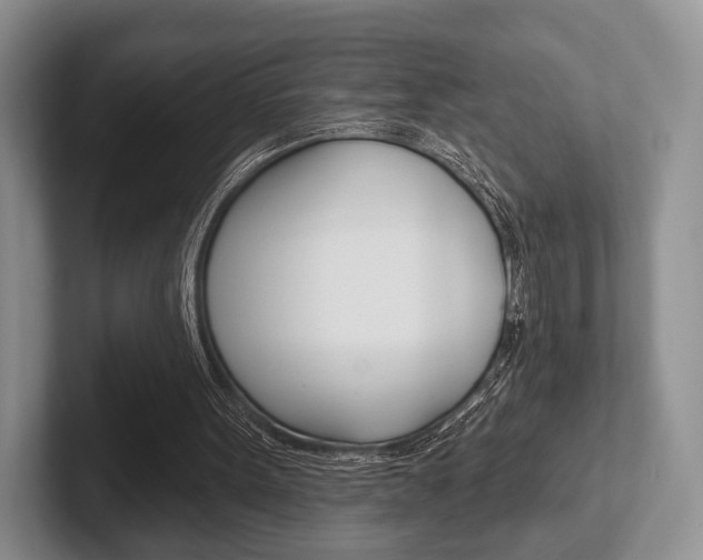 X0000102540099200808081058