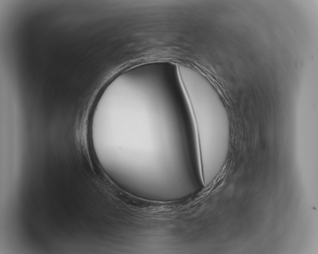X0000102540100200808081058