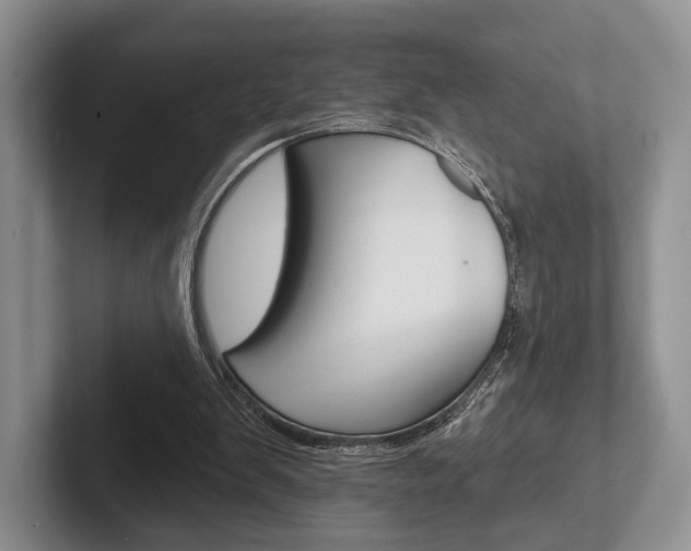 X0000102540103200808081058