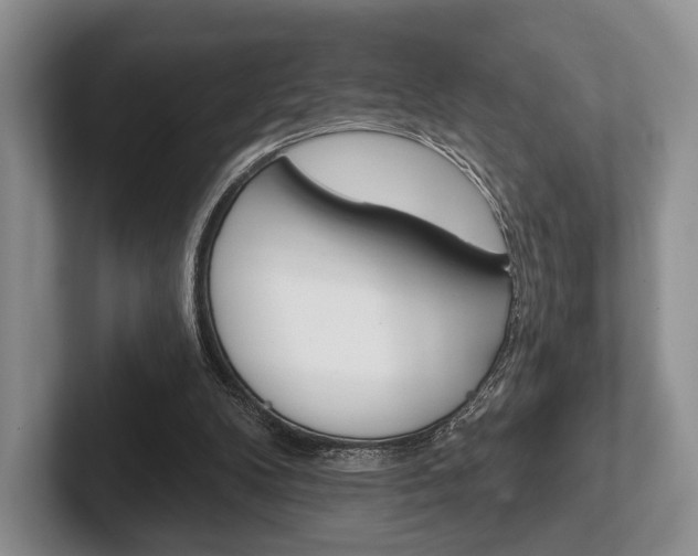 X0000102540104200808081058