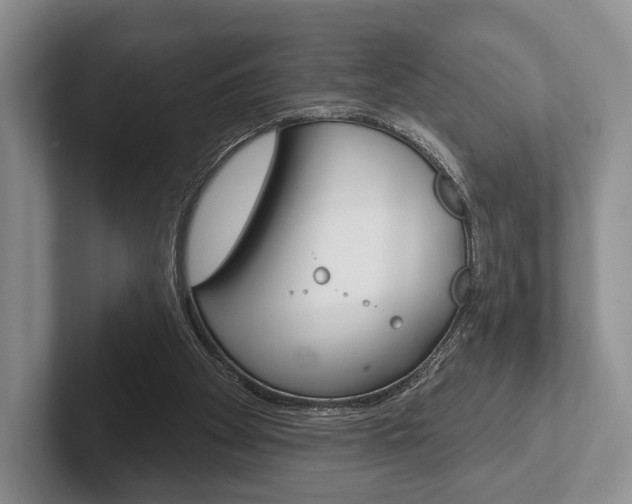 X0000102540105200808081058