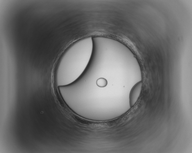 X0000102540106200808081058