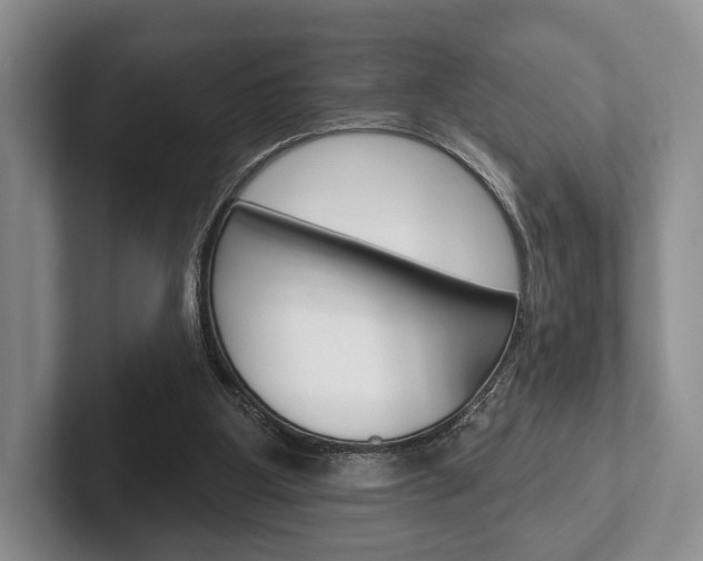 X0000102540107200808081058