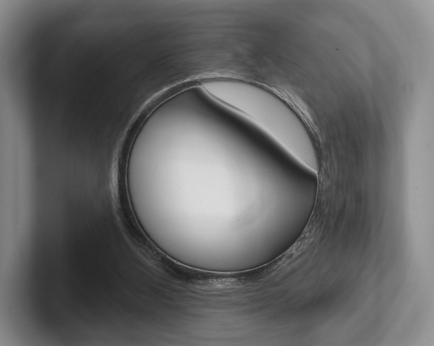 X0000102540108200808081058