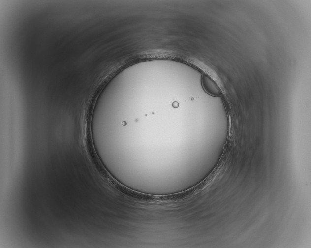 X0000102540109200808081058