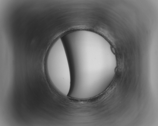 X0000102540111200808081058