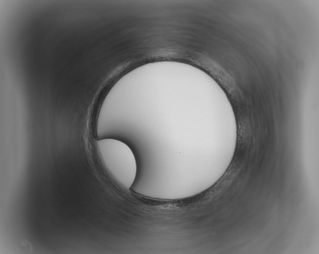 X0000102540112200808081058