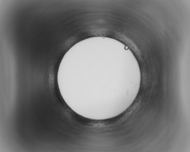 X0000102540113200808081058