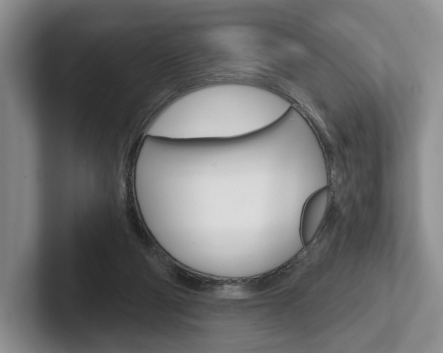 X0000102540114200808081058
