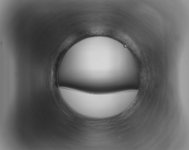X0000102540116200808081058