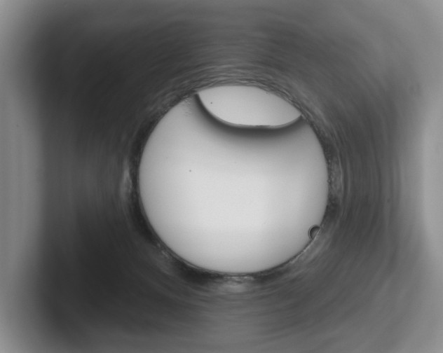 X0000102540128200808081058