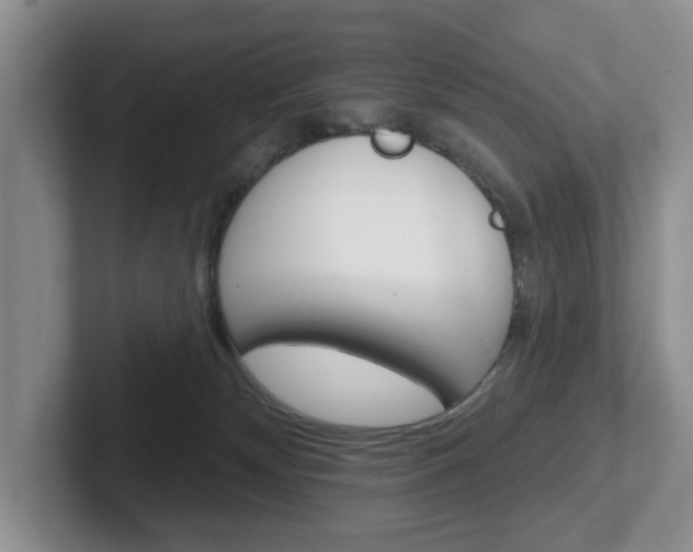 X0000102540132200808081057