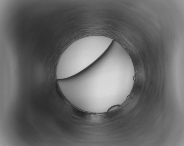 X0000102540134200808081057