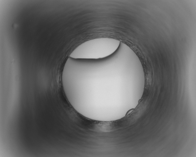 X0000102540138200808081057