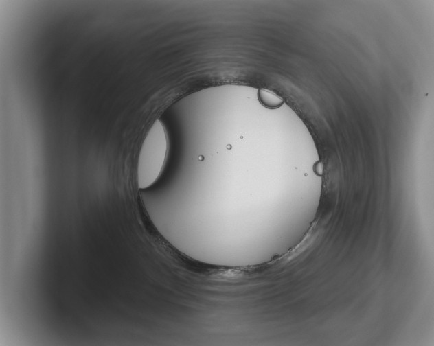 X0000102540140200808081057