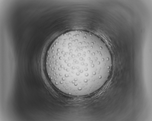 X0000102540145200808081057