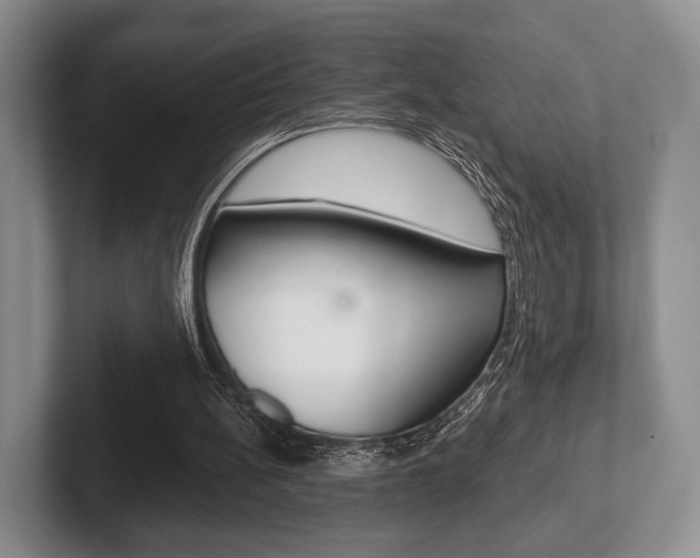 X0000102540148200808081057
