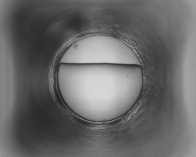 X0000102540149200808081057