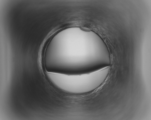 X0000102540150200808081057