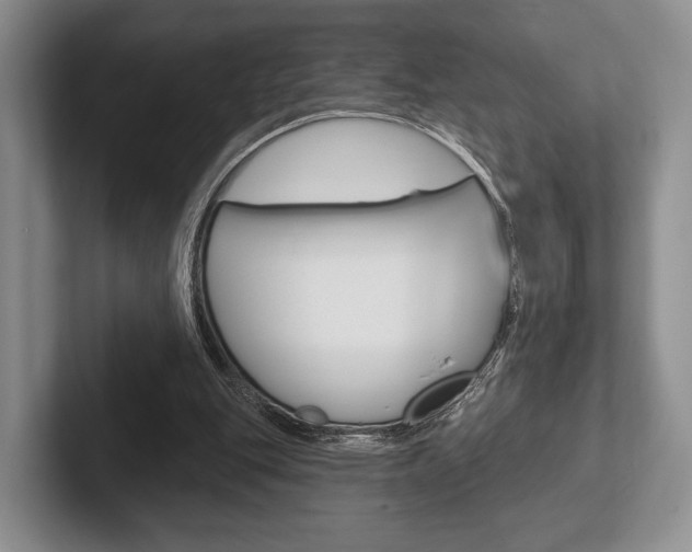 X0000102540151200808081057