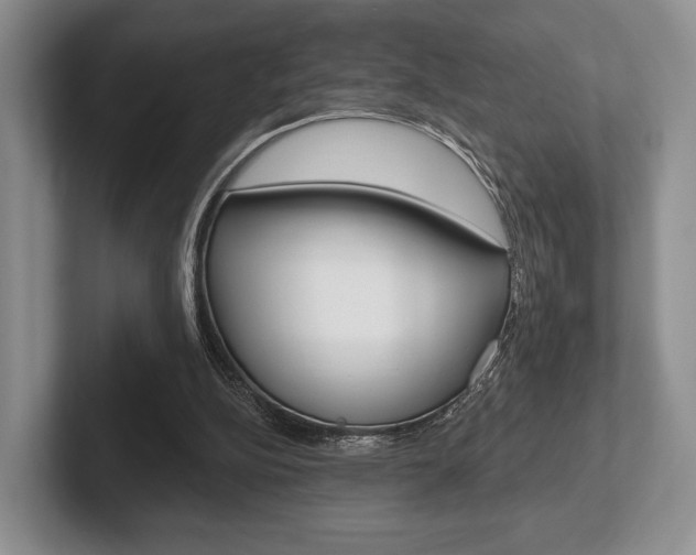 X0000102540152200808081057