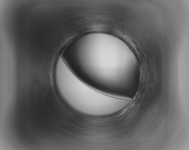 X0000102540154200808081057
