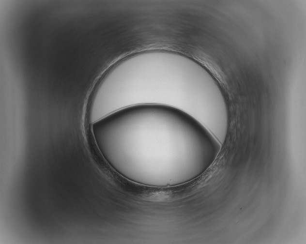 X0000102540156200808081057