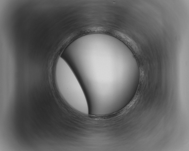 X0000102540158200808081057