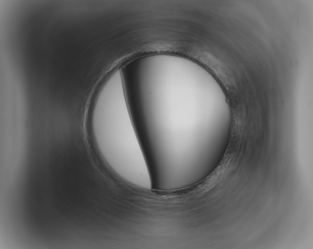 X0000102540160200808081057