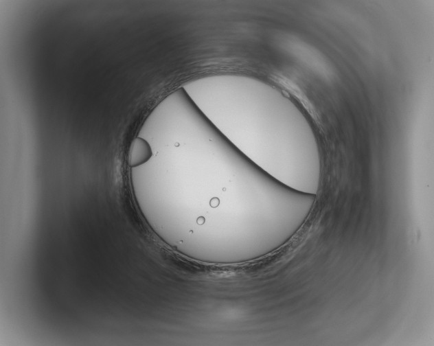 X0000102540161200808081057